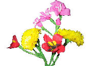 Pologne, fleurs papier